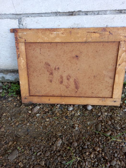 De vânzare 40 famili stupi