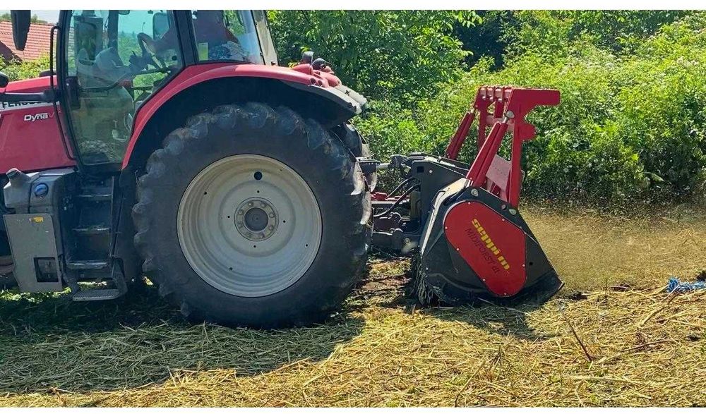 Defrisare, curatare teren/terenuri neingrijite, gradini si pasuni