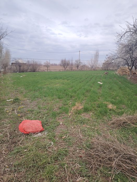 Chek sotiladi - gaz-svet-suv-asfalt muammo yoq narxi 1sotigi 1800dan