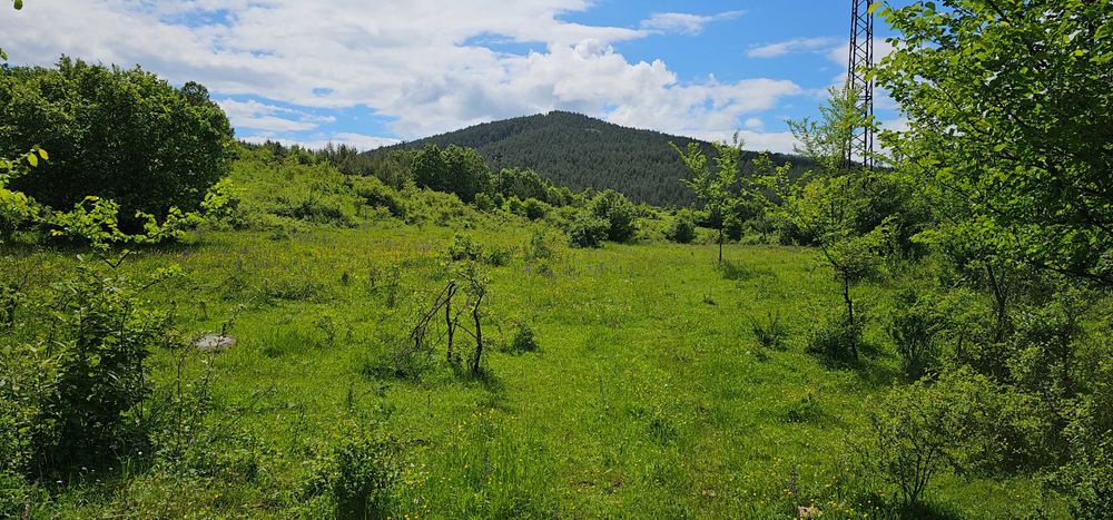 Продава се Парцел в Перник, Изток - 11803 кв.м за 16 €/кв.м - Снимка #7