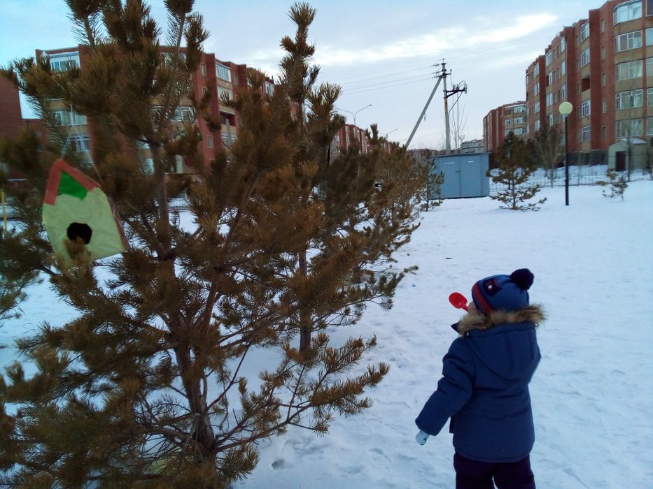 Зимний комбинезон  на мальчика