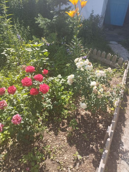 Продам дачу на Солнечной