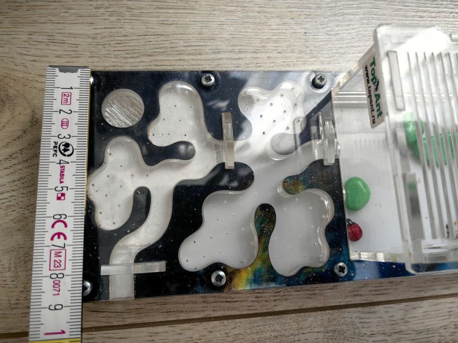 Формиркарий ферма для муравьев 9х19