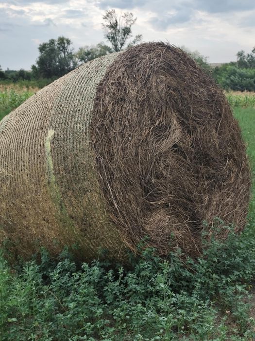 Vând baloți fân 280lei ușor negociabil
