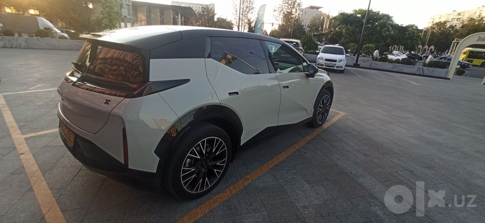 Zeekr X 2024 Flagship
