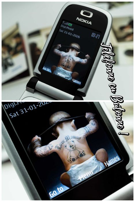 Nokia 6131 Telefon cu clapeta (nu Nokia 6310i Nokia 6700 Nokia 8800 )