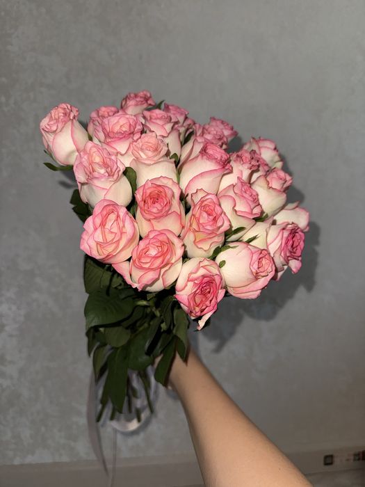 цветы розы розовые