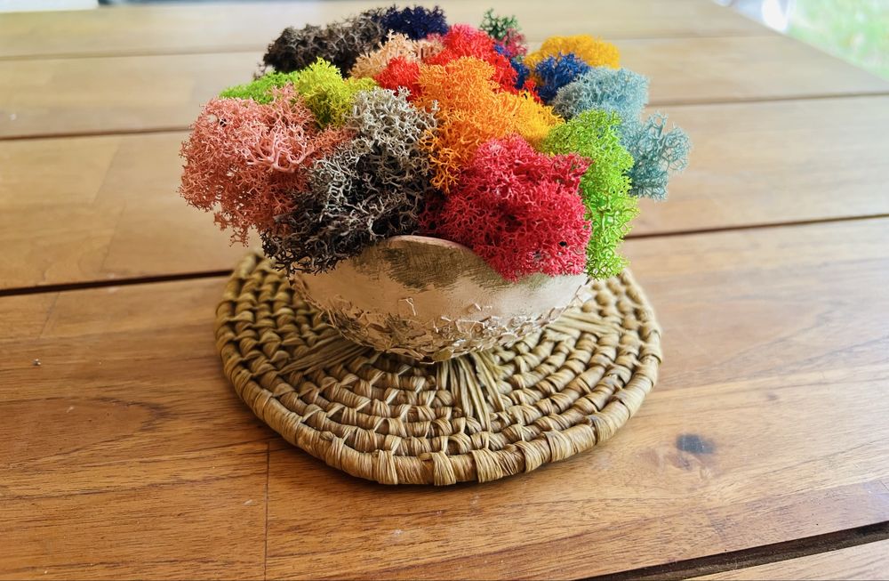 Кашпи със скандинавски мъх 8,50лв.