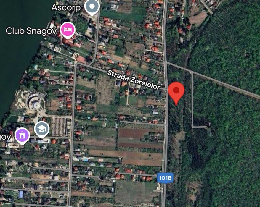 Vand teren 7.000 mp Snagov Sat (Soseaua Snagov)