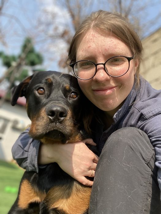 Pet sitter - VIP передержка - присмотр за животными на дому