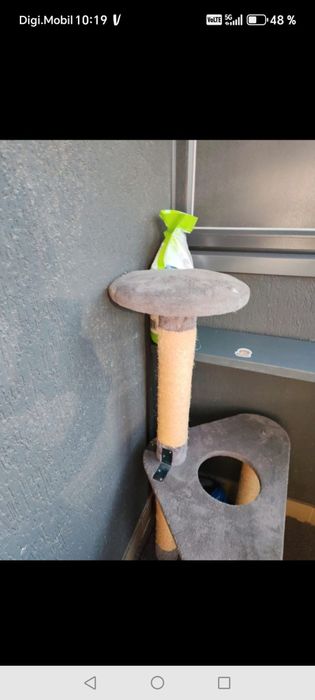 Loc de joaca pentru pisici