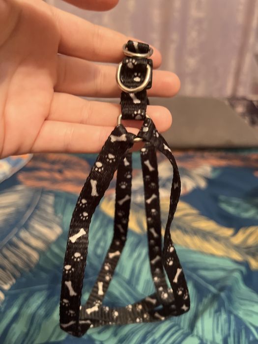 Шлейка для щенков