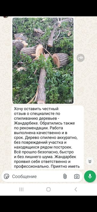 Спил деревьев . Обрезка