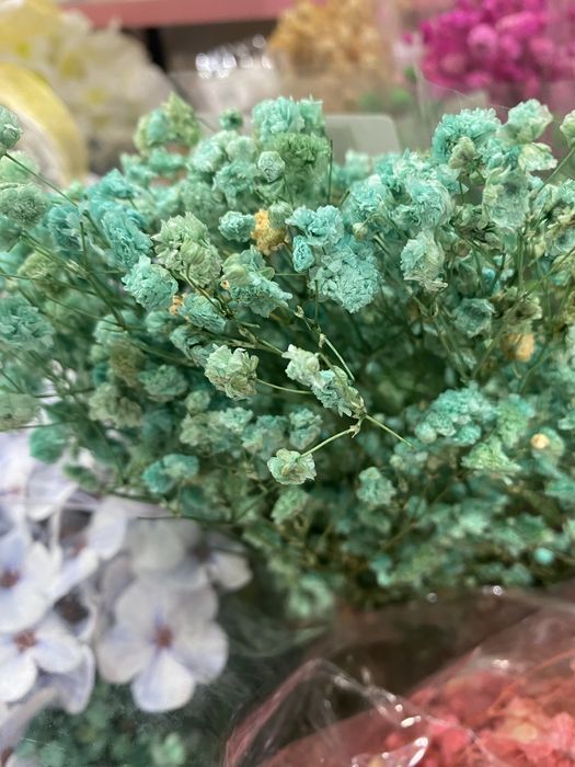 Сух гипсофил връзка