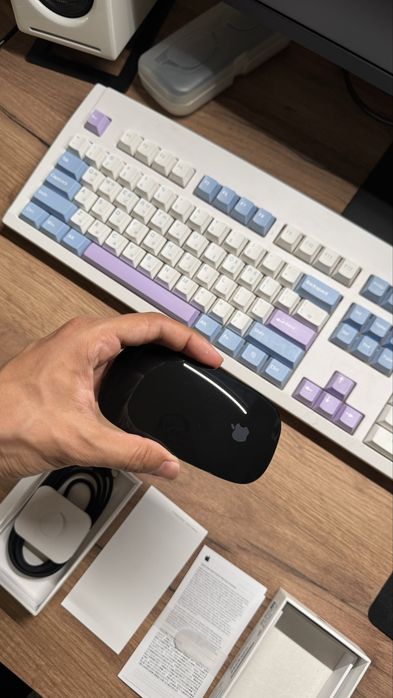 Apple Magic Mouse (A3204) USB-C