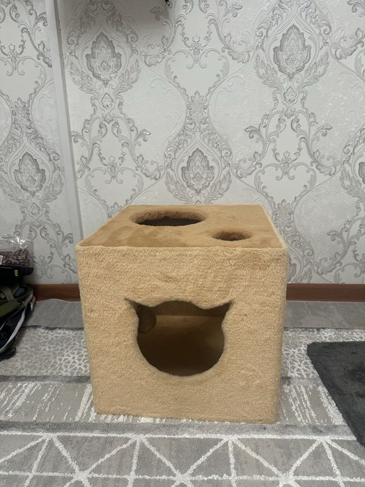 Кошкин дом когтедралка