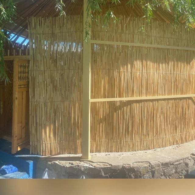 Обалденный камыш