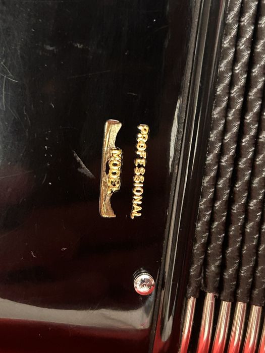 Acordeon Excelsior cassotto