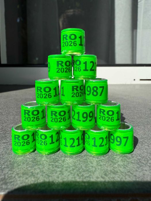 Inele porumbei 2026 RO,  Fara Taloane