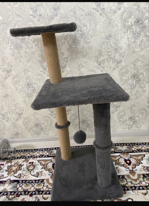 Когтиточка в отличном состоянии