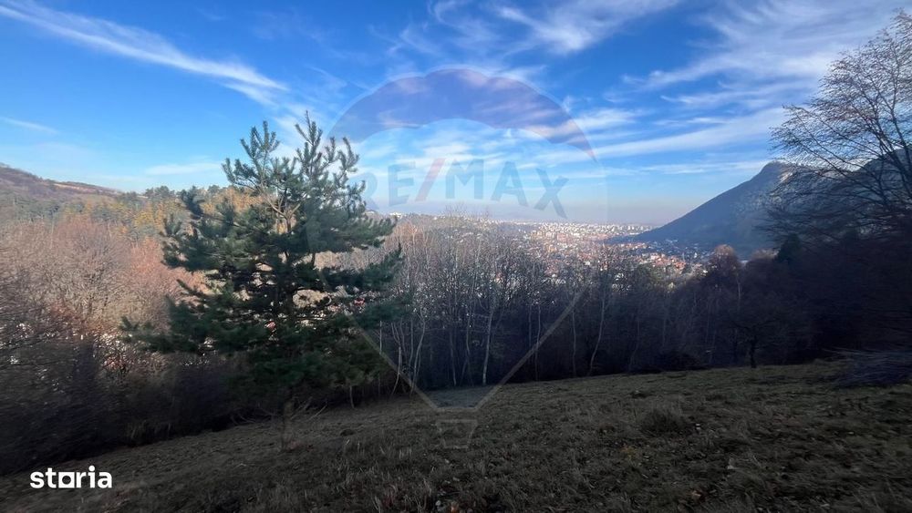 Teren Colinar Panoramic – 17.684 mp în Scheii Brașovului