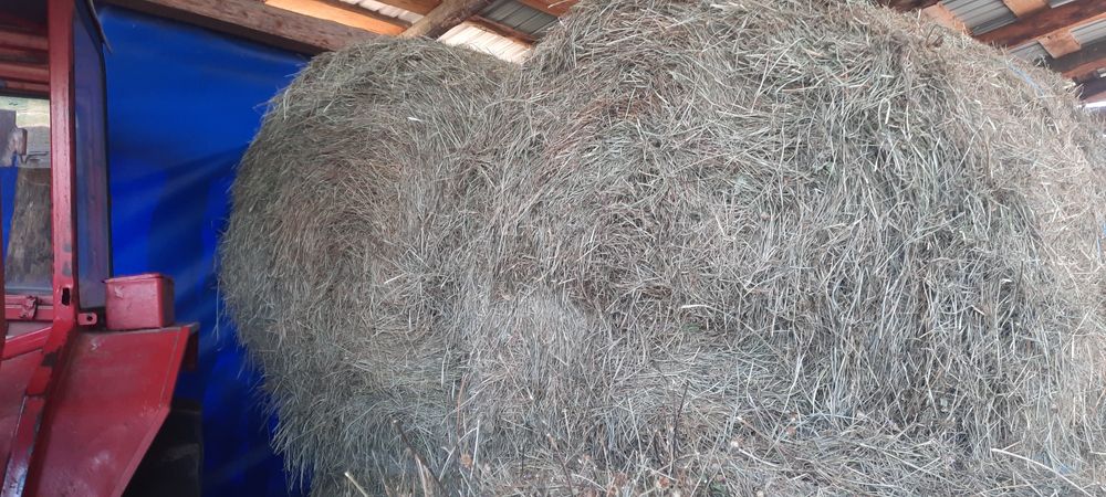 Otava fan baloti baloti otava fan.