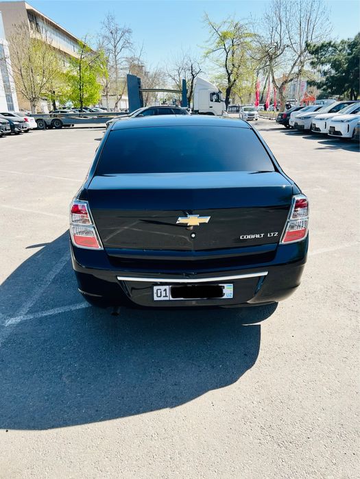 Cobalt 2025 Midnight