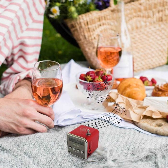 Mini Radio FM cu Boxa Portabila si MP3 Player LCD 45dB USB MicroSD