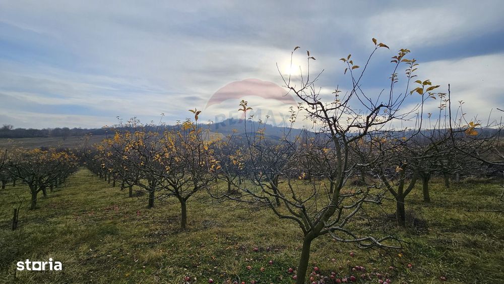 Teren extravilan 10,791mp Falticeni / Strada DJ209A, Opriseni