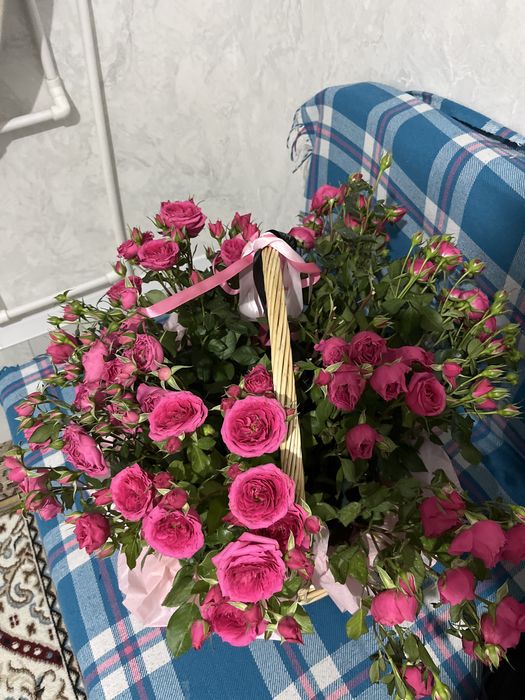 Продаються цветы купленые вчера