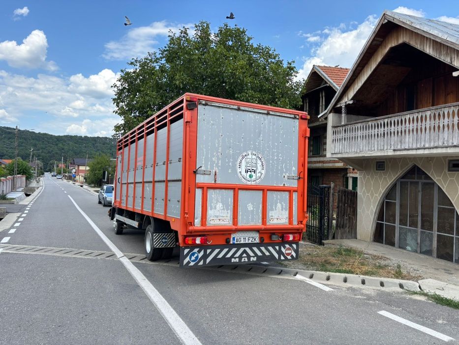 Vând camion transport animale vii