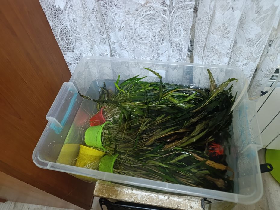 Расписание в аквариум