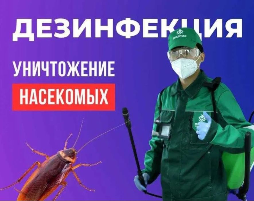 Dezinfeksiya tarakan va klapa