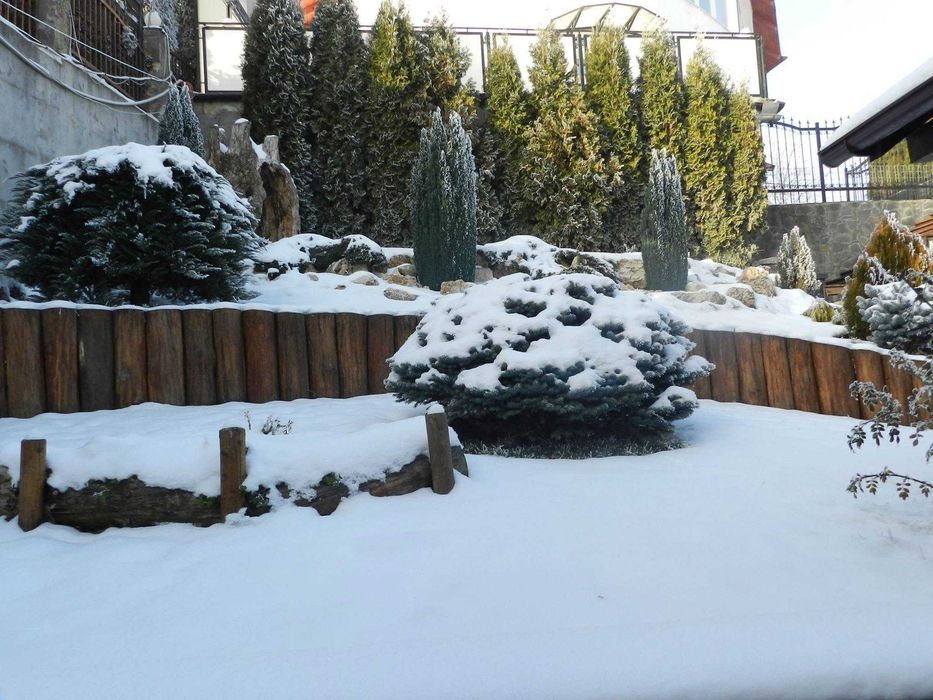 1000 euro/mp CALEA POIENII Brasov