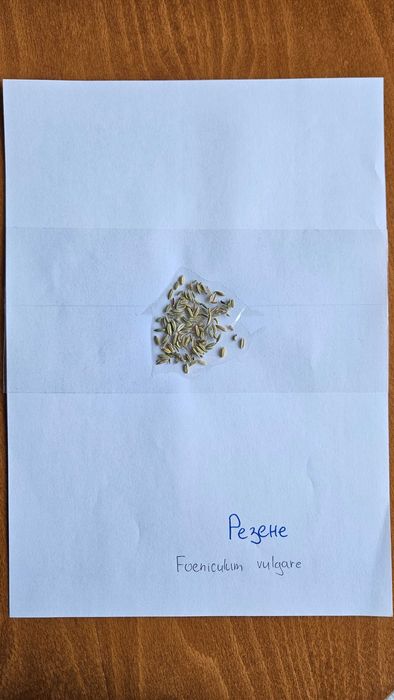 Хербарий ЛТУ - Фармакология