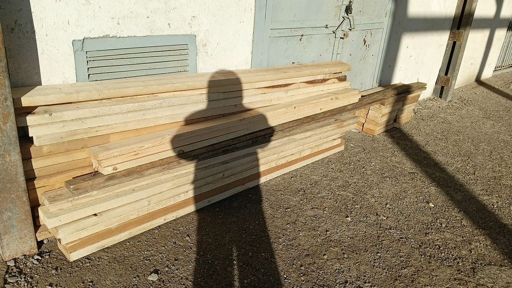 Әр түрлі ағаштар,