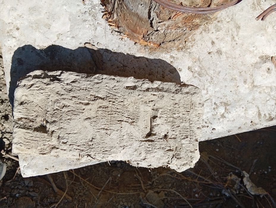 Хом гиштлар сотилади тез ва арзон