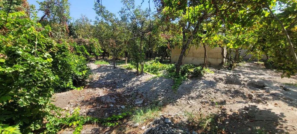 Эълон 22 сотхли ховли сотилади Куштепада