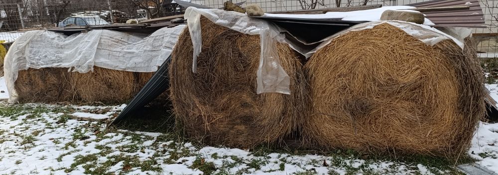 Baloți rotunzi de fân