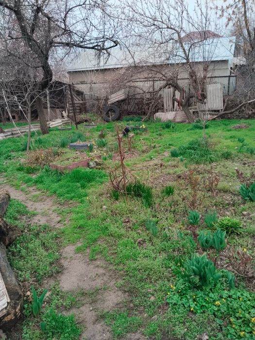 Продажа дома в районе «Роща»