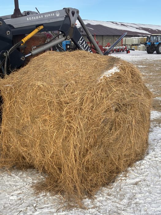 Продам сена рулон