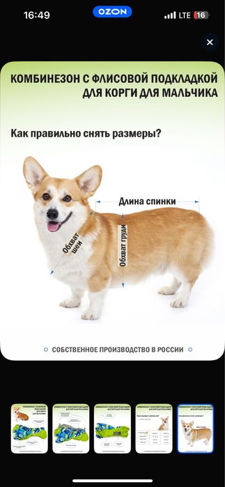 Одежда комбинезон для собак