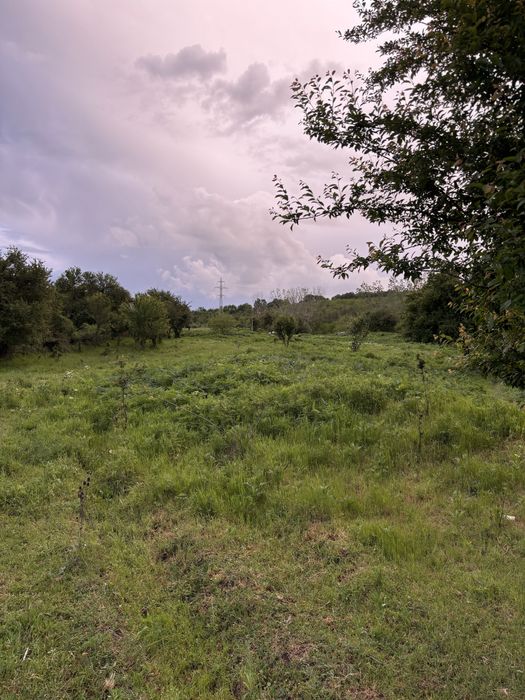 Продава се Парцел в с. Медовина, Област Търговище - 15000 кв.м за 13 €/кв.м - Снимка #1