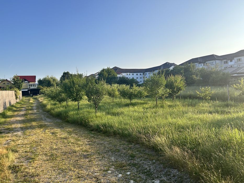 Teren intravilan in centrul comunei Bascov