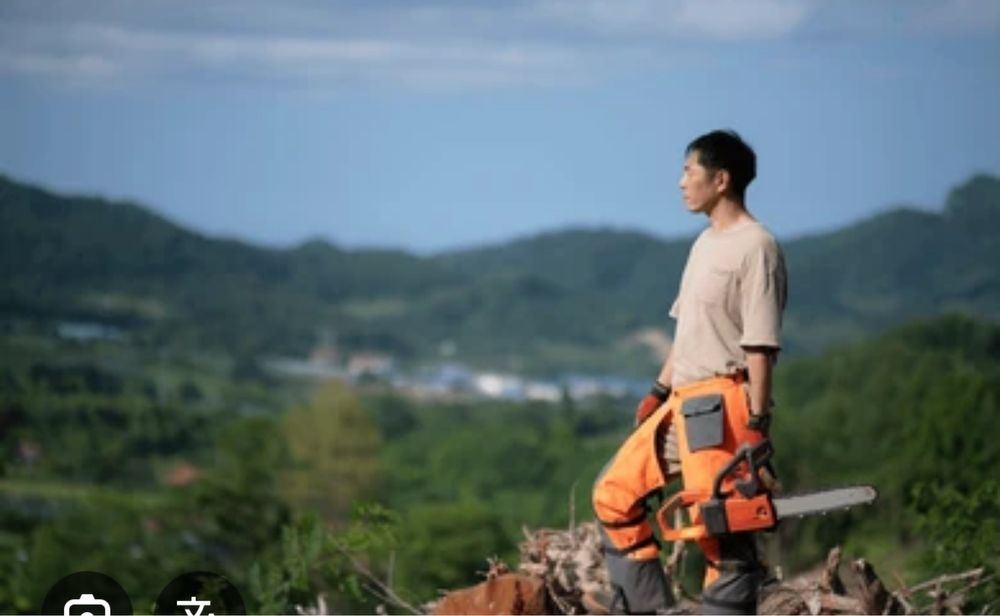 Ағаш кесу тал құлату