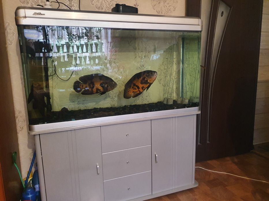 Аквариум заводской