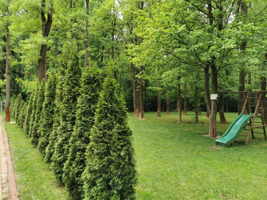 Inchiriez garsoniera Pipera ( Școala Americană)