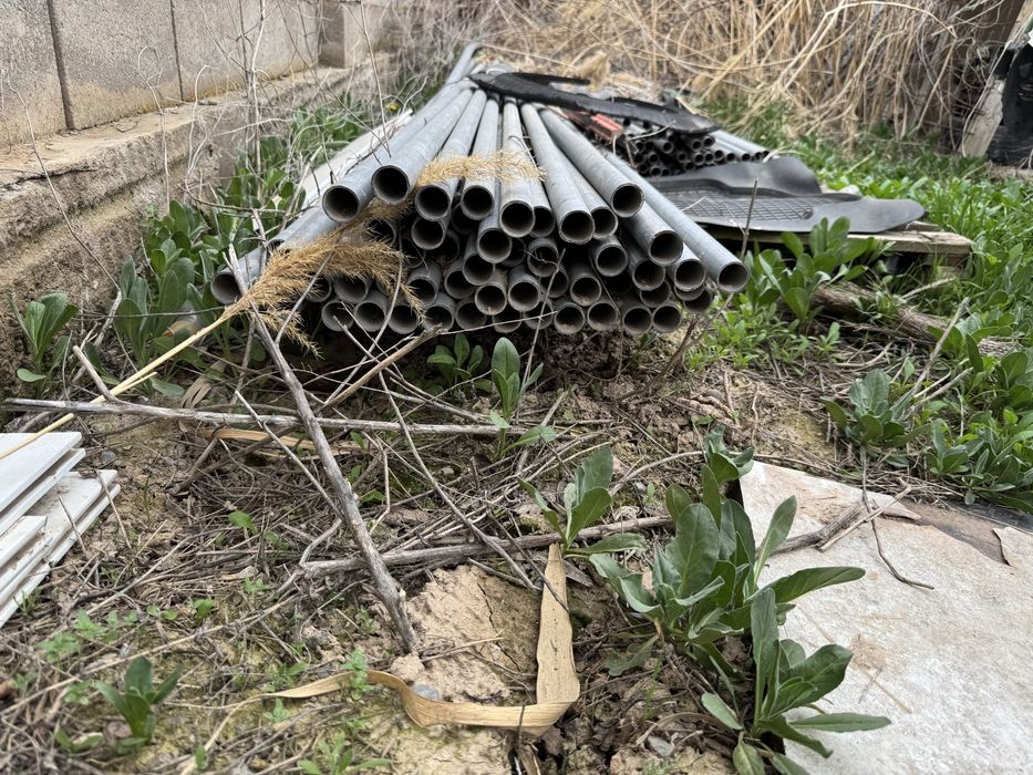 Теплица кария салафан