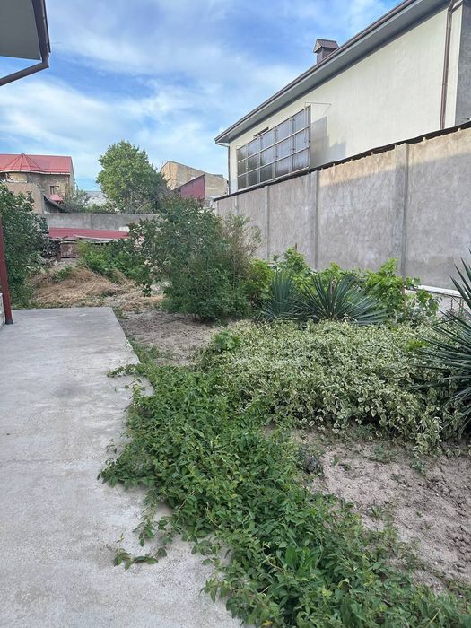 Сотувда участок, Мирабад тумани, Билимдон махалласи