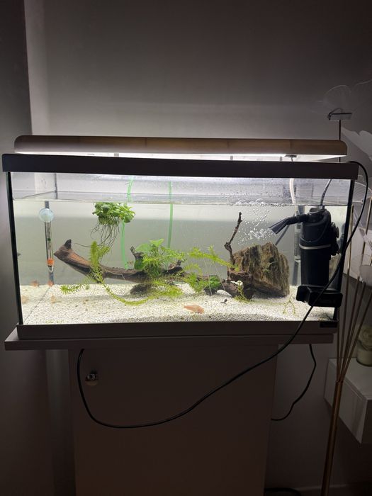 Vand acvariu pesti +dulap